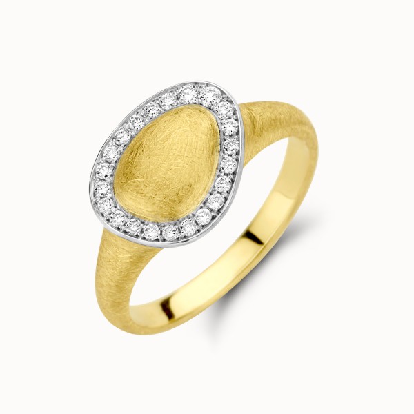 Bicolor ring