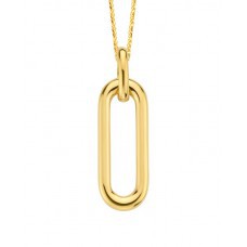 Geel gouden hanger