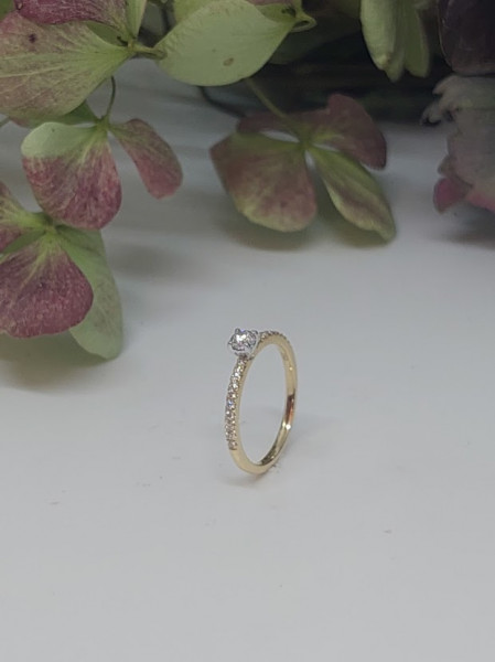 Bicolor gouden ring